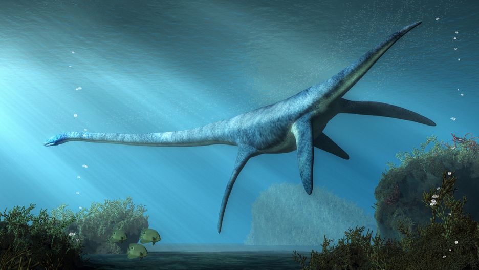 Ilustracja przedstawiająca elasmozaura