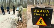 Sopot: Las pod ochroną! Policja i Straż Leśna dbają o porządek