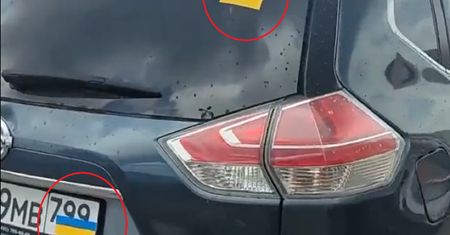 Rosjanie boją się żyć w Polsce? Ten film jest hitem