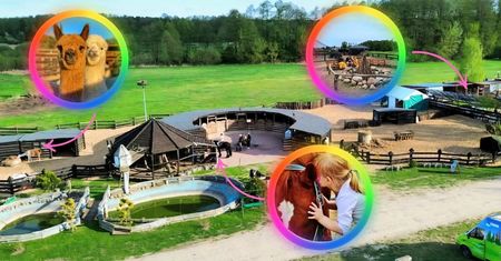 Fundacja Eldorado & Kucykomania Pomoc Dzieciom z Niepełnosprawnościami