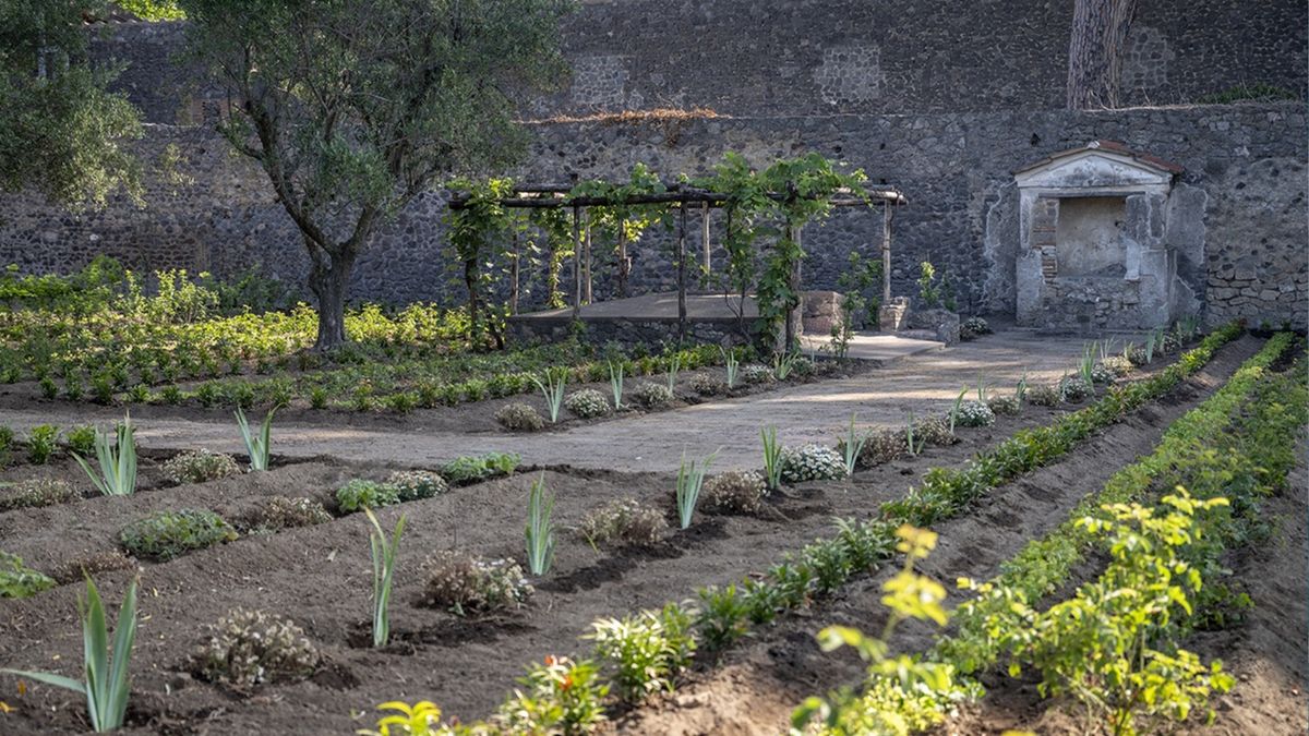 Odnaleziona perfumeria z czasów Rzymian odkryta w Pompejach. Mie