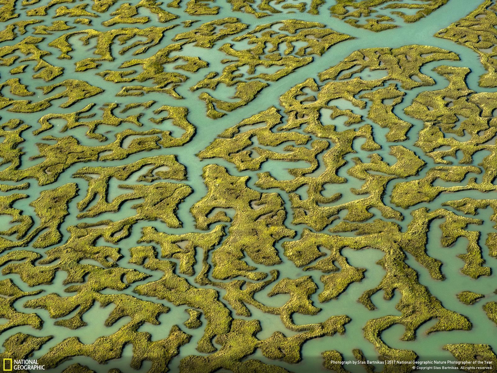 Poznaj najnowsze zgłoszone zdjęcia w konkursie Nat Geo Nature Photographer of the Year 2017 19