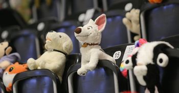 W tym turnieju nie będą liczyły się zdobyte gole, tylko ilość zebranych pluszaków. Wszystko dla dzieci poszkodowanych w wypadkach