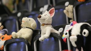 W tym turnieju nie będą liczyły się zdobyte gole, tylko ilość zebranych pluszaków. Wszystko dla dzieci poszkodowanych w wypadkach