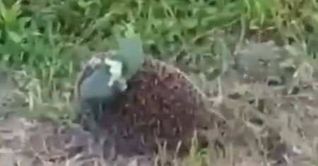 Nagranie z Ukrainy. Spójrzcie, co ma na plecach