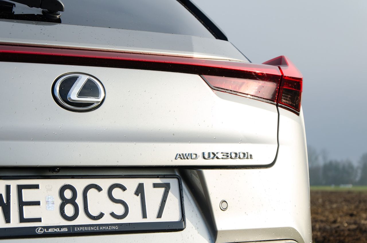 Lexus UX 300h AWD