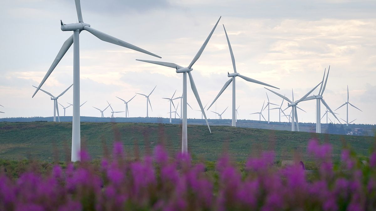 Zwiększymy wydajność farm wiatrowych przez... żywopłoty 1