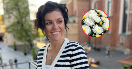Kiszone chryzantemy to hit. Kasia Cichopek podaje przepis i mówi, jak działają