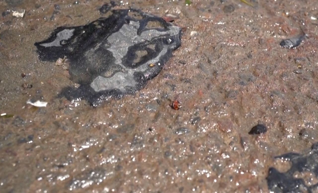 Katastrofa ekologiczna w Zatoce Meksykańskiej