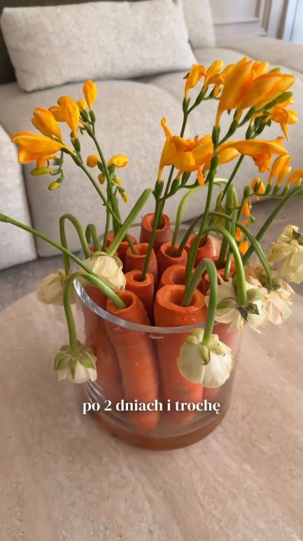 Kasia Cichopek odpływa w odmętach uniwersum DIY