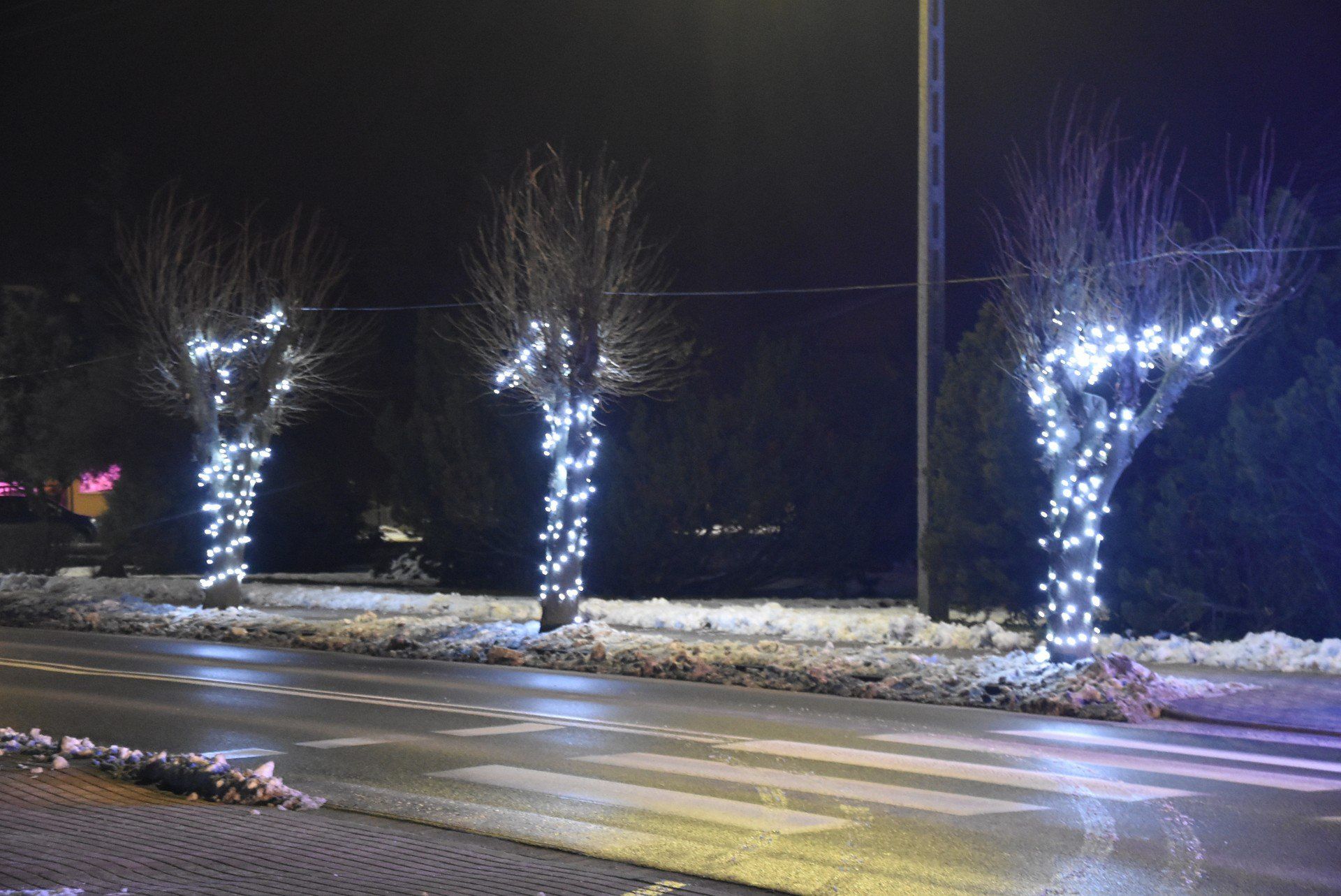 Świąteczne ozdoby w Wapnie