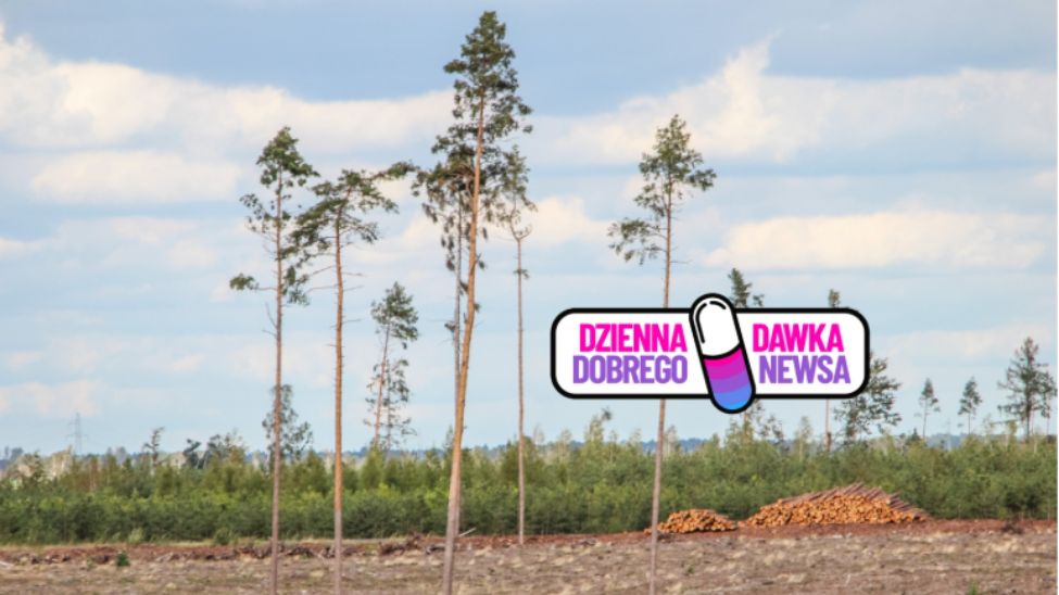 Rodzice posadzili 40 drzew w Lesie Młodej Łodzi