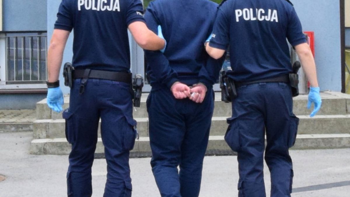 Zdjęcie ilustracyjne.