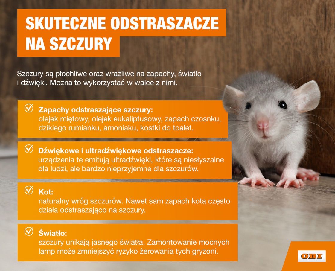 Skuteczne odstraszacze na szczury - infografika