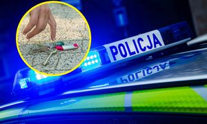 36-latka przez rok okradała 81-latkę. Wpadła dzięki fotopułapce