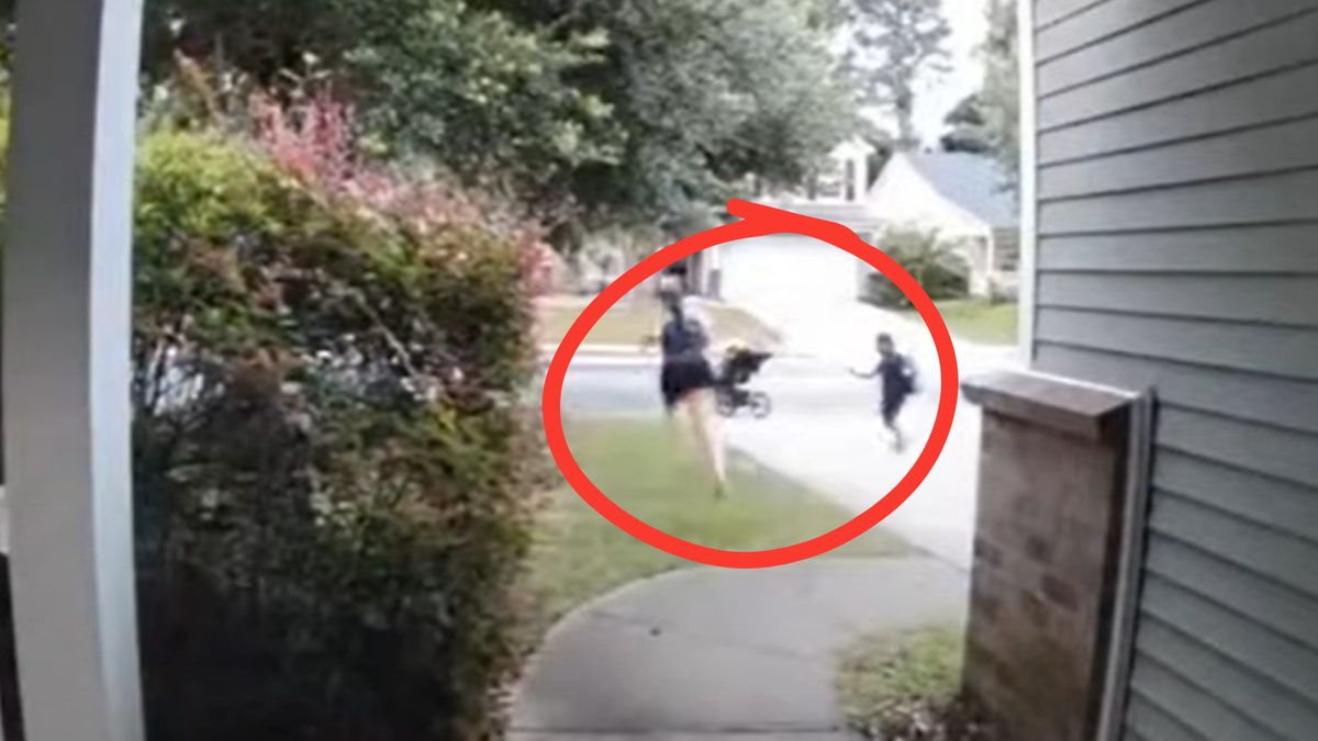 Kobieta wystraszyła się pająka. Jej reakcja zaskoczyła syna