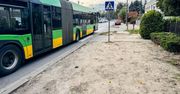 Poznań: Powstanie nowy chodnik i zieleń na ulicy Szarych Szeregów. Prace ruszą w listopadzie