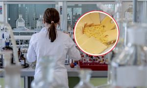 Wegańskie sery z Wrocławia gotowe na podbój Europy. Rewolucja już za chwilę