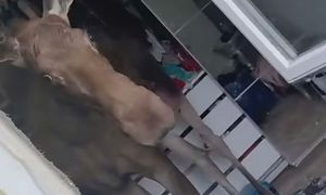 Niespodziewana wizyta w mieszkaniu. "Wpadł przez okno"