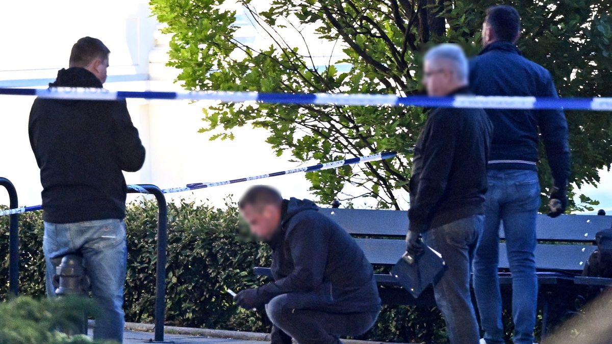 Uniwersytet Warszawski, UW