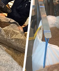 Niespodzianka w pellecie z Białorusi. Przeskanowali ciężarówkę Polaka