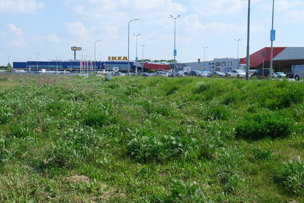 Na terenach zielonych przy Skende / Ikea powstanie park handlowy i dwie restauracje