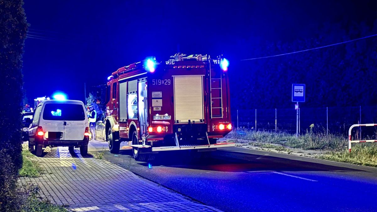 Ford uderzył w konia