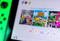 UE: Konsumenci skarżą się na Nintendo