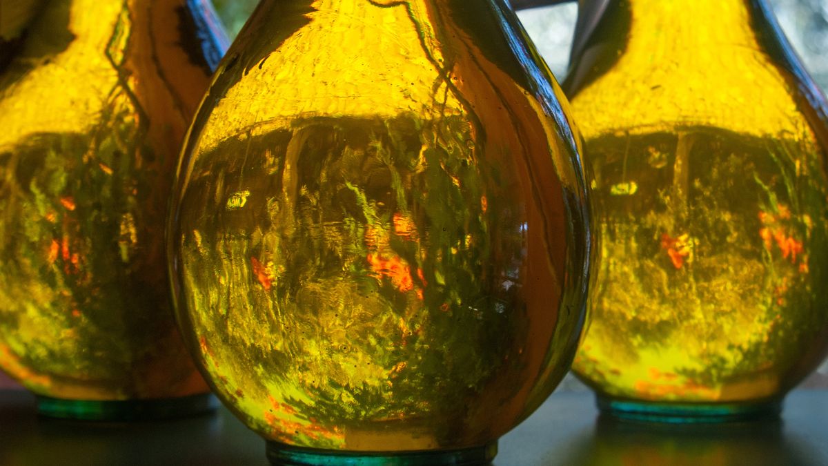 Olej z czarnuszki wykazuje działanie przeciwnowotworowe