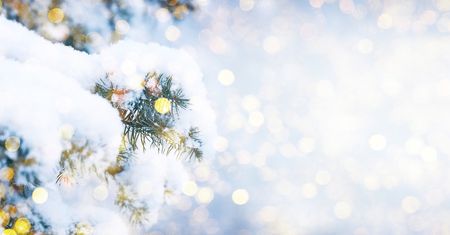 Życzenia dla czytelników z okazji Świąt