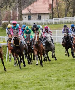 Wrocław. Partynice zapraszają na kolejny wyścig. Rodowód uczestników robi wrażenie