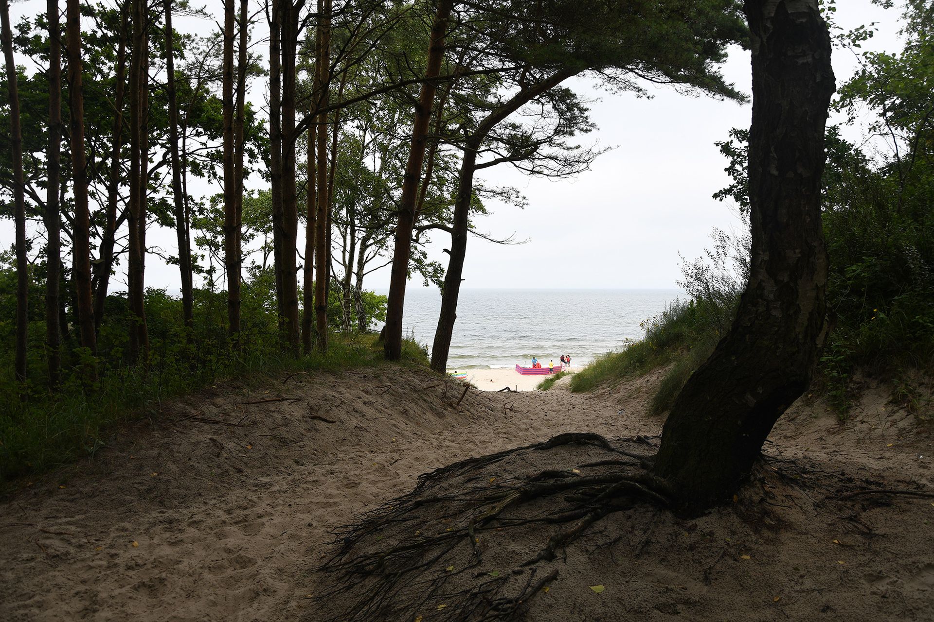 Nikon D7500 - przepustka do poważnej fotografii czy drogi gadżet? [test] 82