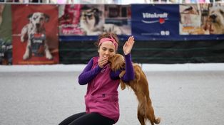 Lublin: Targi Zoologiczne ZOOPARK przyciągnęły tłumy. Weekend w świecie zwierząt