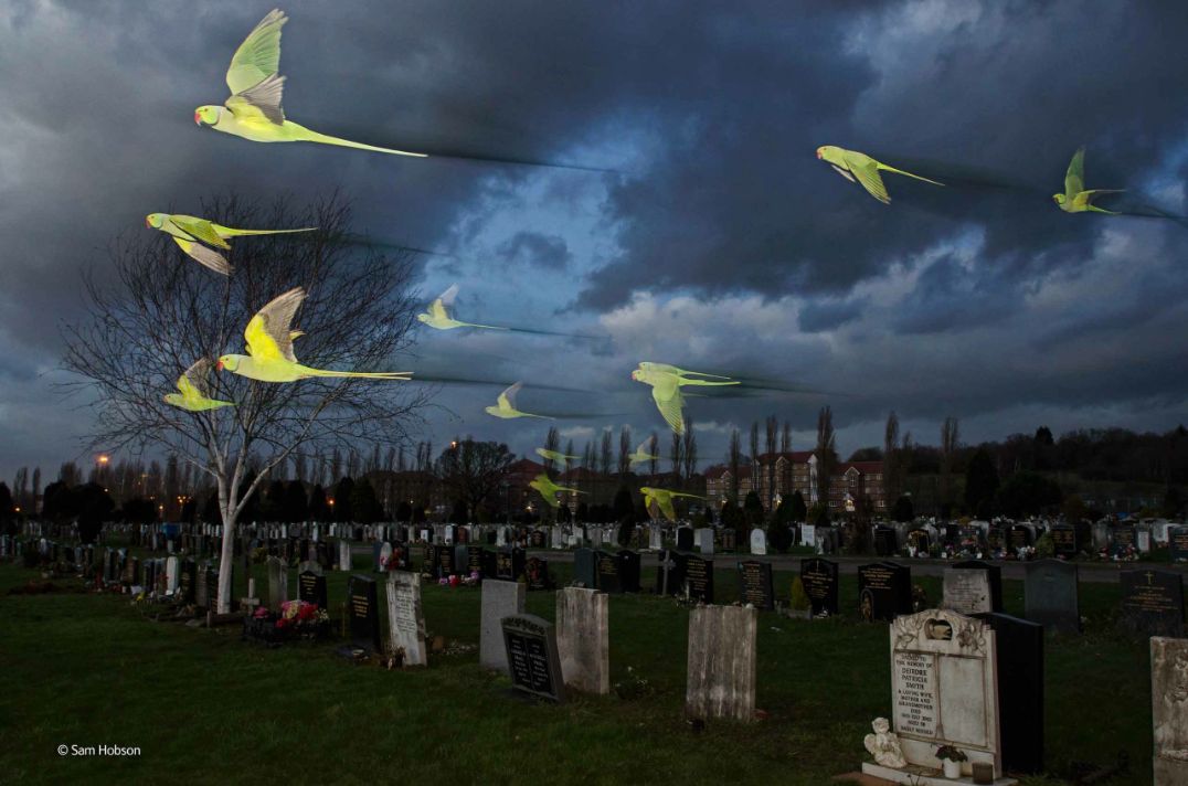 Zwycięzcy konkursu Wildlife Photographer of the Year 2014 28