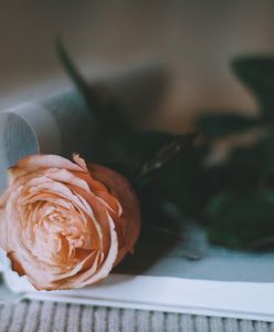 Życzenia na Dzień Nauczyciela. Wierszyki, rymowanki, cytaty