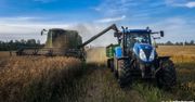 Ceny rzepaku na żniwa rosną. Rolnicy boją się suszy i kontraktów