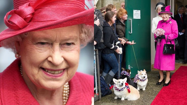 Psy królowej Elżbiety mają własnego lokaja i kucharzy