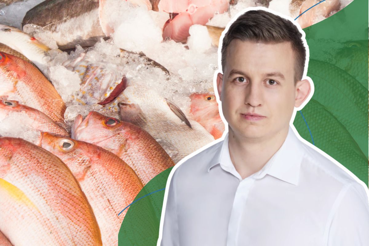 To najlepsze ryby z marketu. Dietetyk wskazał 5 konkretnych gatunków