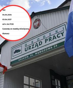 Wymagają znajomości pięciu języków. Stawka? Lepiej usiądźcie