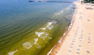 Sinice w Bałtyku. Posłanka pyta: winna inwestycja PGNiG?