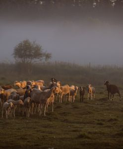 Rzucił Paryż dla Kiersztanowa. "Ten świat był nierealny i ludzie mnie fascynowali"