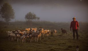 Rzucił Paryż dla Kiersztanowa. "Ten świat był nierealny i ludzie mnie fascynowali"