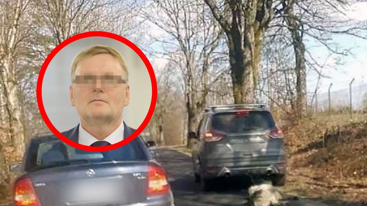 Były senator PiS miał znęcać się nad psem ze szczególnym okrucieństwem