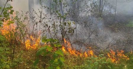 Podpalał lasy i obserwował strażaków. 37-latek z Radzyńskiego aresztowany
