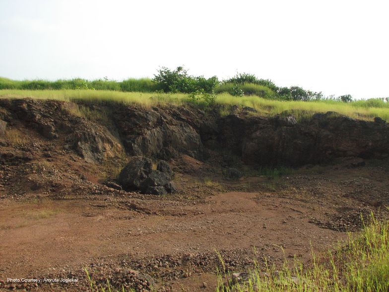 Czarne wydobycie w Polsce. Rośnie liczba nielegalnych kopalni
