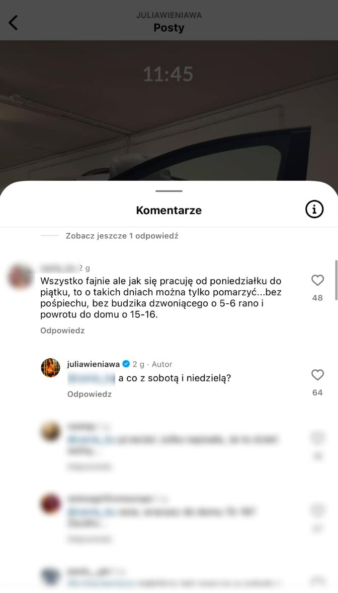 Julia Wieniawa rozjuszyła internautów 