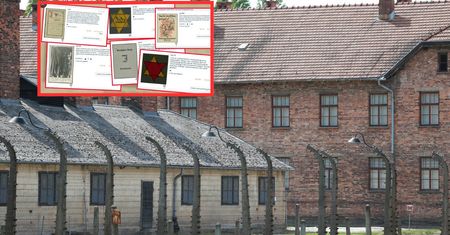 Skandal w Niemczech. Dom aukcyjny odpowiada w komunikacie