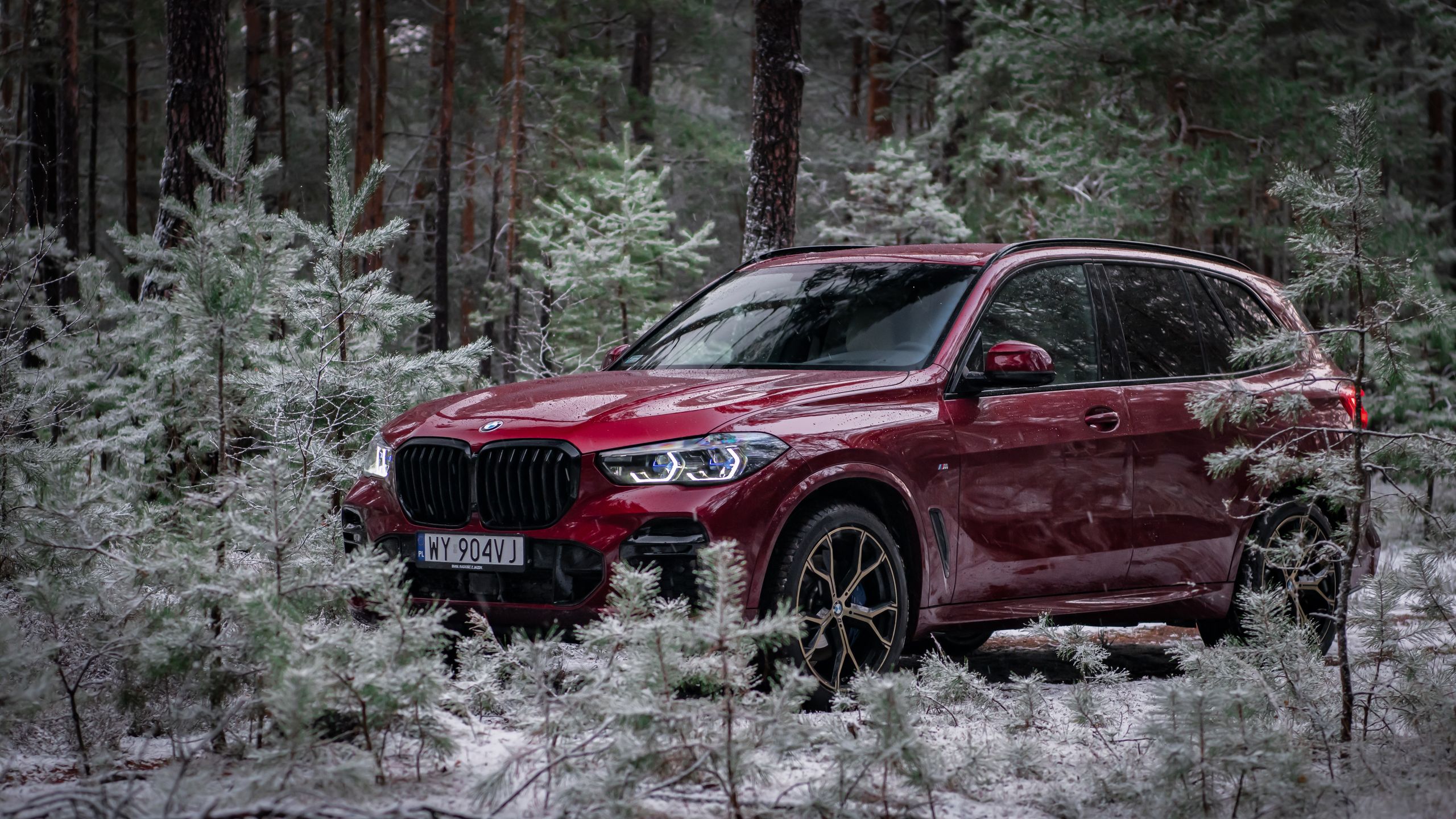 BMW X5 xDrive 30d (2022)