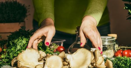 Uprawa grzybów w domu — co trzeba wiedzieć?