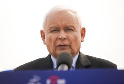 PiS pyta o migrantów. Ekspert obala narrację partii